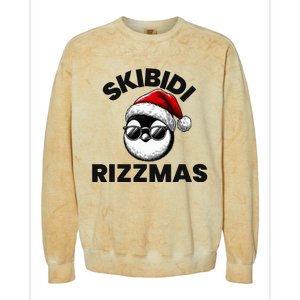 S.K.I.B.I.D.I Funny Gen Alpha Slang Christmas Penguin Colorblast Crewneck Sweatshirt