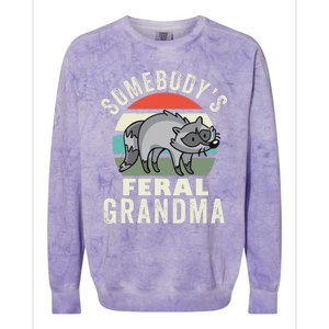 SomebodyS Feral Grandma Wild Grandmother Family Retro Colorblast Crewneck Sweatshirt