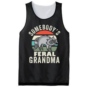 SomebodyS Feral Grandma Wild Grandmother Family Retro Mesh Reversible Basketball Jersey Tank