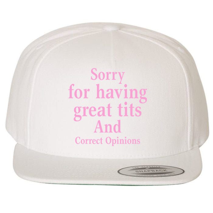 Sorry For Having Great Tits And Correct Opinions Cute Funny Wool Snapback Cap