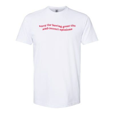 Sorry For Having Great Tits And Correct Opinions Funny Cool Softstyle CVC T-Shirt