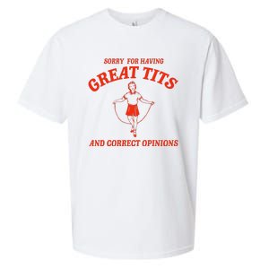 Sorry For Having Great Tits Funny Correct Opinions Sayings Sueded Cloud Jersey T-Shirt