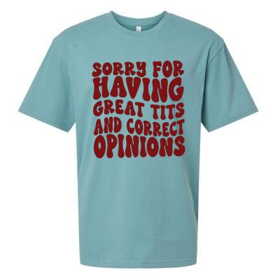 Sorry For Having Great Tits And Correct Opinions Sueded Cloud Jersey T-Shirt