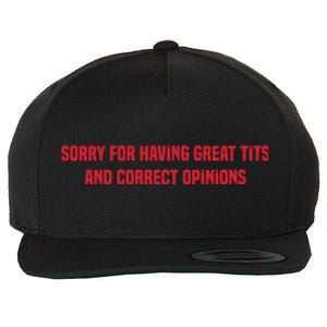 Sorry For Having Great Tits And Correct Opinions Wool Snapback Cap