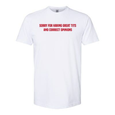 Sorry For Having Great Tits And Correct Opinions Softstyle CVC T-Shirt