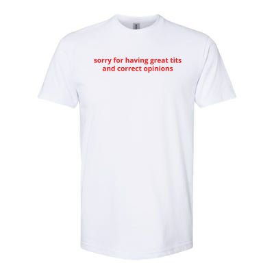 Sorry For Having Great Tits And Correct Opinions Softstyle CVC T-Shirt