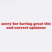 Sorry For Having Great Tits And Correct Opinions Hoodie