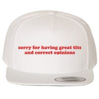 Sorry For Having Great Tits And Correct Opinions Wool Snapback Cap