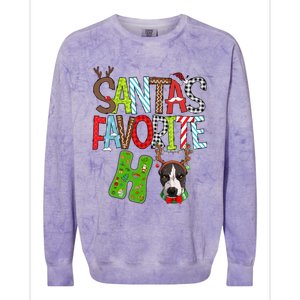 Santas Favorite Ho Pitbull Dog Christmas Lighting Funny Gift Colorblast Crewneck Sweatshirt