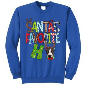 Santas Favorite Ho Pitbull Dog Christmas Lighting Funny Gift Sweatshirt