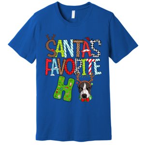 Santas Favorite Ho Pitbull Dog Christmas Lighting Funny Gift Premium T-Shirt