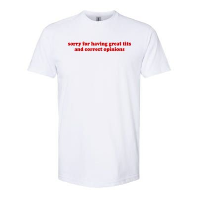 Sorry For Having Great Tits And Correct Opinions Softstyle CVC T-Shirt