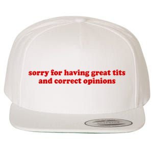 Sorry For Having Great Tits And Correct Opinions Wool Snapback Cap