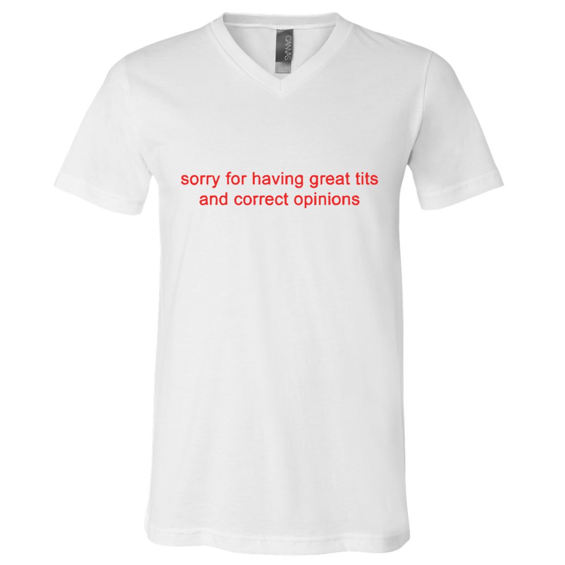 Sorry For Having Great Tits And Correct Opinions V-Neck T-Shirt