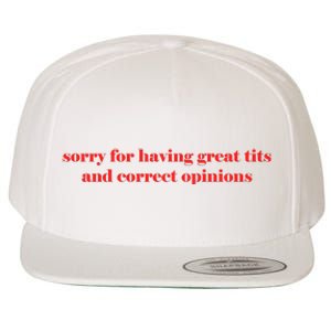 Sorry For Having Great Tits And Correct Opinions Wool Snapback Cap