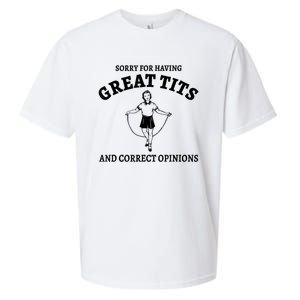 Sorry For Having Great Tits And Correct Opinions Sueded Cloud Jersey T-Shirt