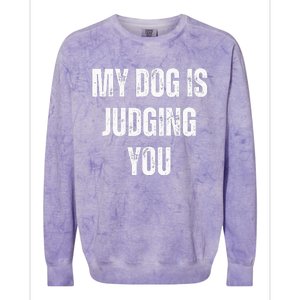 S Funny My Dog Is Judging You Funny Dog Lover Colorblast Crewneck Sweatshirt