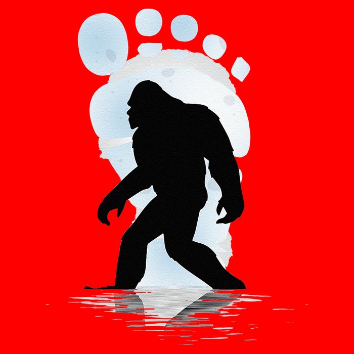 Sasquatch Footprint Moon Light Bigfoot Lovers Gifts Toddler T-Shirt