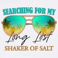 Searching For My Long Lost Shaker Of Salt Apron