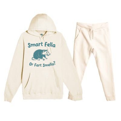 Smart Fella Or Fart Smella Vintage Style Premium Hooded Sweatsuit Set