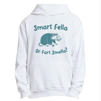 Smart Fella Or Fart Smella Vintage Style Urban Pullover Hoodie