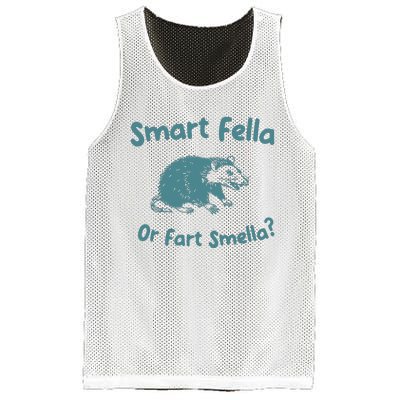 Smart Fella Or Fart Smella Vintage Style Mesh Reversible Basketball Jersey Tank