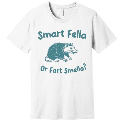 Smart Fella Or Fart Smella Vintage Style Premium T-Shirt