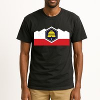 State Flag Of Utah New 2024 Beehive Design Tall T-Shirt