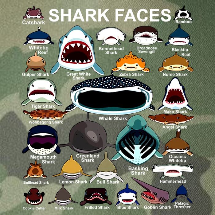 Shark Faces Of All Kinds Legacy Tie Dye Trucker Hat