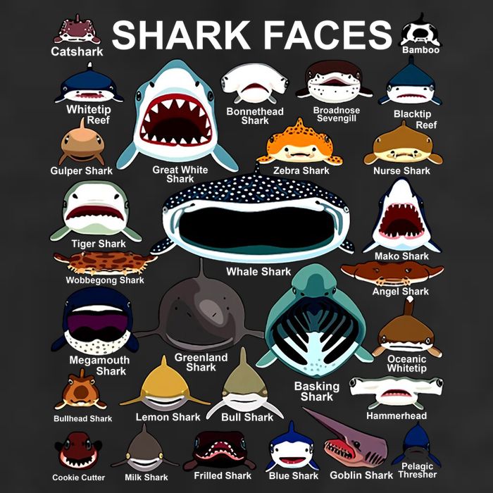 Shark Faces Of All Kinds 7 Panel Mesh Trucker Snapback Hat