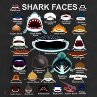 Shark Faces Of All Kinds 11oz C Handle Ceramic Mug