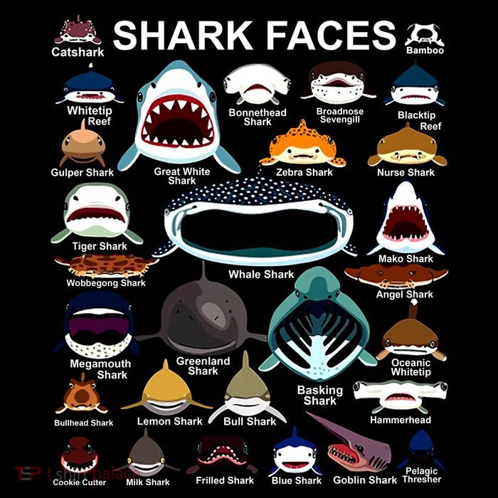 Shark Faces Of All Kinds Youth Performance Sprint T-Shirt