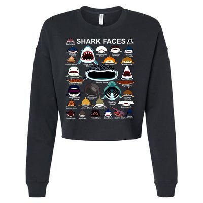 Shark Faces Of All Kinds Cropped Pullover Crew