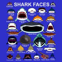 Shark Faces Of All Kinds Button