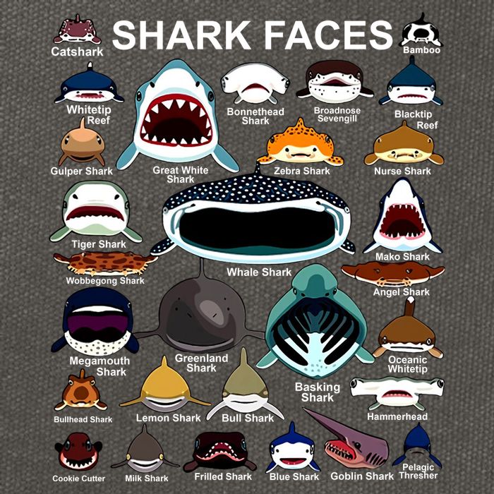 Shark Faces Of All Kinds Cotton Canvas Backpack