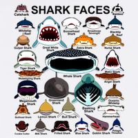 Shark Faces Of All Kinds Garment-Dyed Sweatshirt