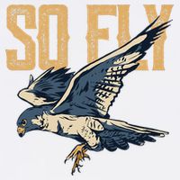 So Fly Peregrine Falcon Birding Ornithologists Cooling Performance Crew T-Shirt