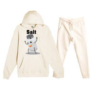 Salt Funny Power Matching Salt And Pepper Gift Premium Hooded Sweatsuit Set