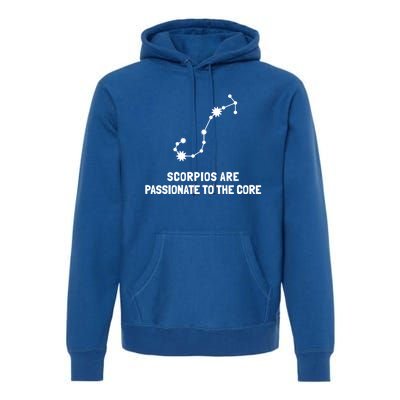 Scorpio Facts Passionate To The Core Funny Astrology Gift Premium Hoodie