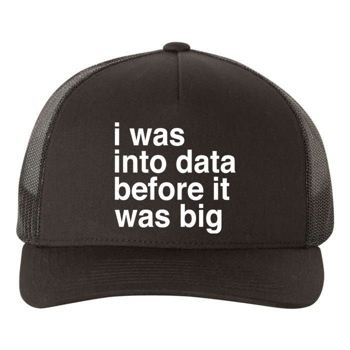 Sophie From Romania I Was Into Data Before It Was Big Yupoong Adult 5-Panel Trucker Hat