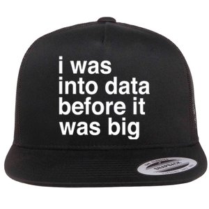 Sophie From Romania I Was Into Data Before It Was Big Flat Bill Trucker Hat