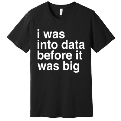 Sophie From Romania I Was Into Data Before It Was Big Premium T-Shirt