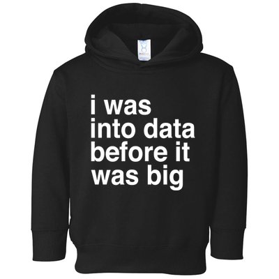 Sophie From Romania I Was Into Data Before It Was Big Toddler Hoodie