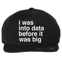 Sophie From Romania I Was Into Data Before It Was Big Wool Snapback Cap