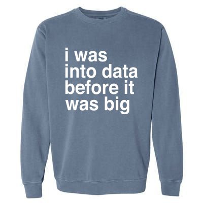 Sophie From Romania I Was Into Data Before It Was Big Garment-Dyed Sweatshirt