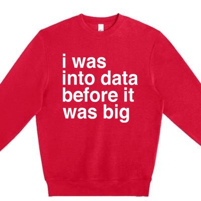 Sophie From Romania I Was Into Data Before It Was Big Premium Crewneck Sweatshirt