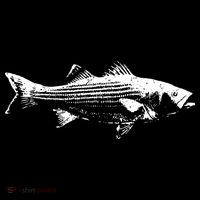 Striper Fishing Striped Bass Lucky Fishing Baby Bodysuit