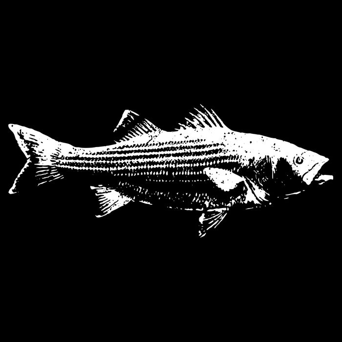 Striper Fishing Striped Bass Lucky Fishing Women's V-Neck T-Shirt