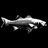 Striper Fishing Striped Bass Lucky Fishing Kids T-Shirt