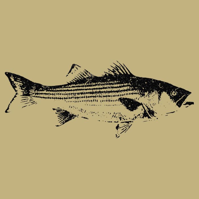 Striper Fishing Striped Bass Lucky Fishing Long Sleeve Shirt